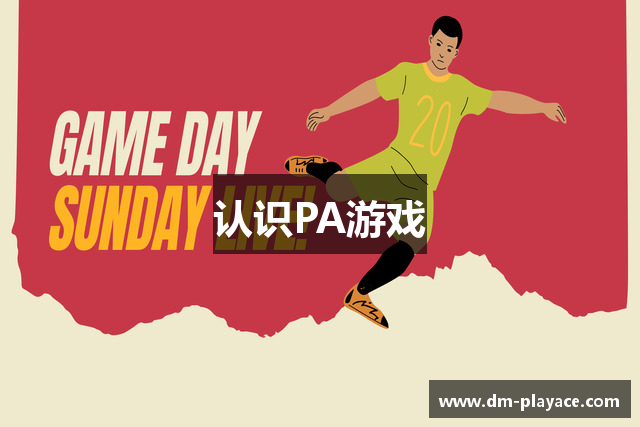 认识PA游戏